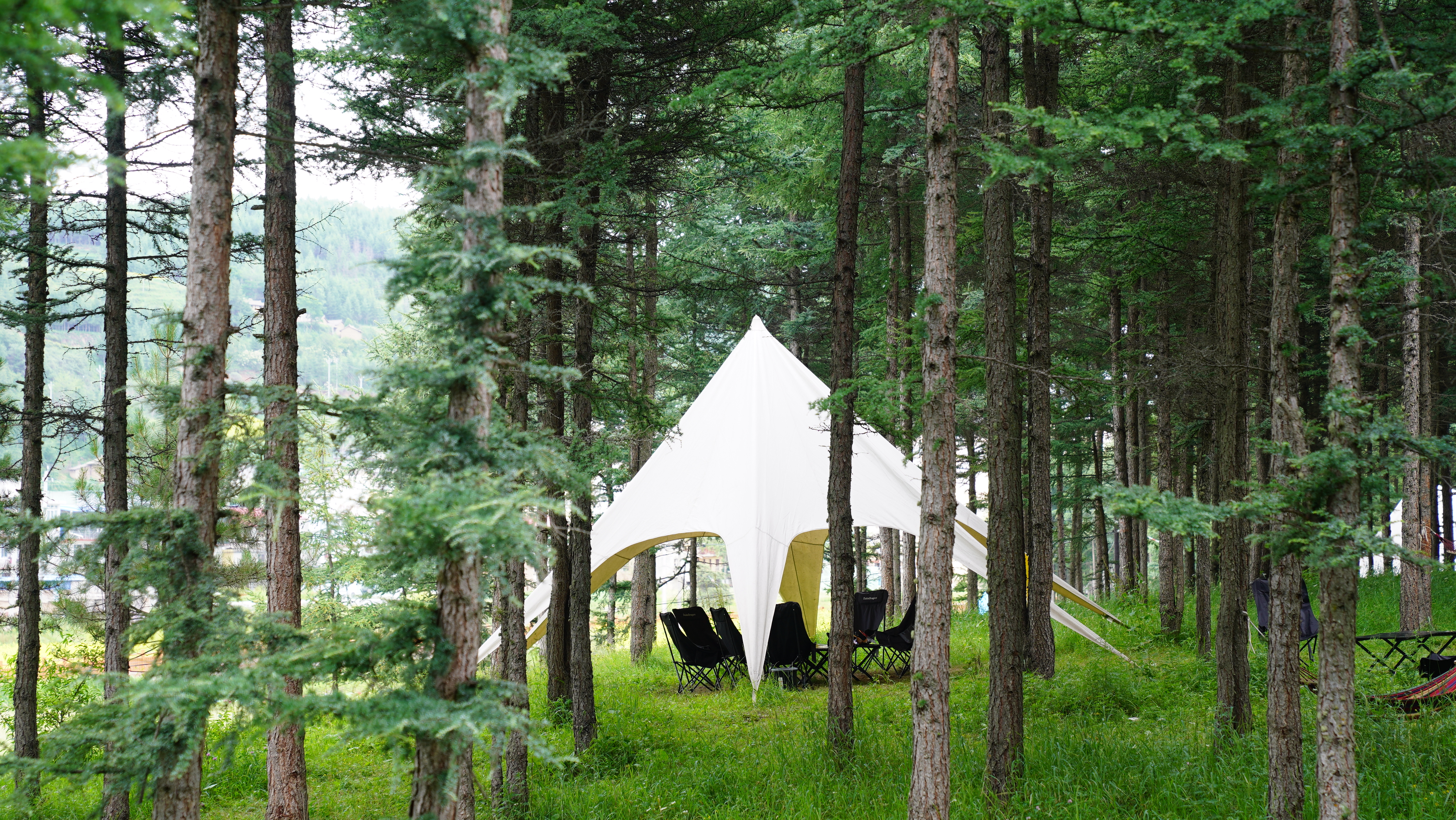 微信图片_20250717095027